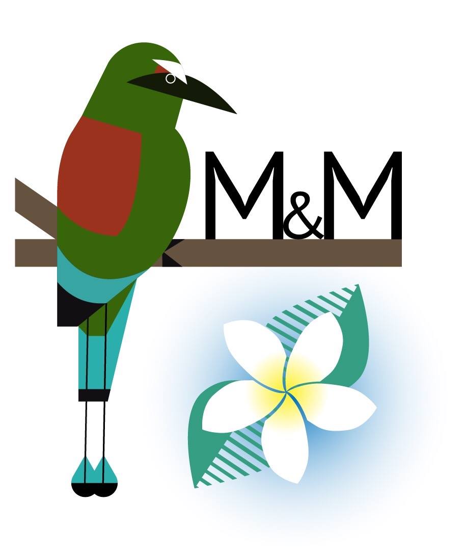 m & m cleaning services logo